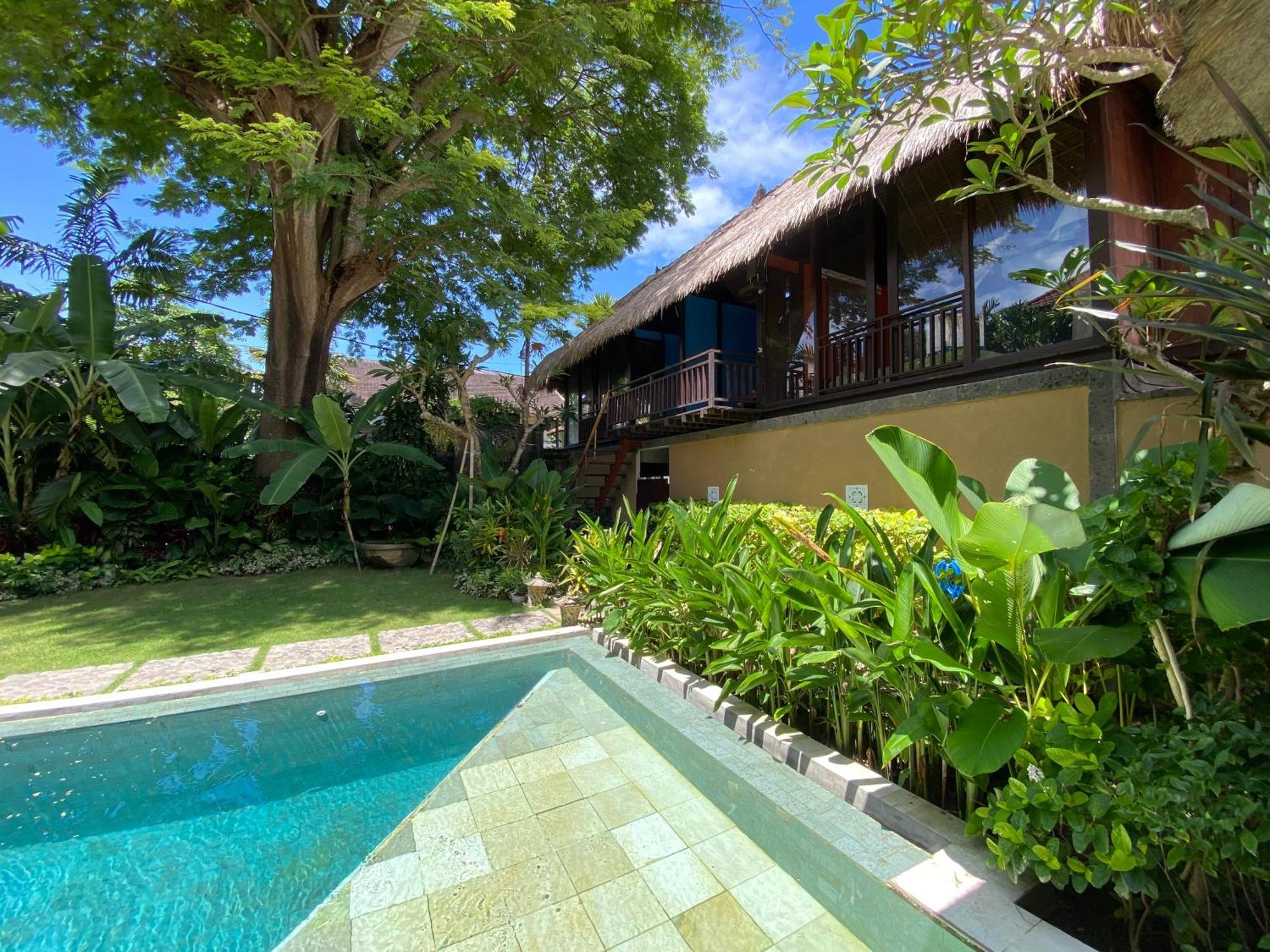 Little Tree House Hotel Sanur  Room photo